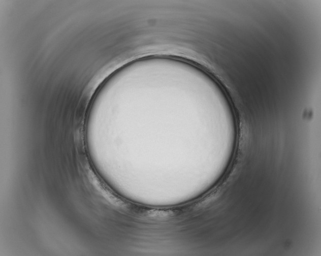 X0000114031513200910231848