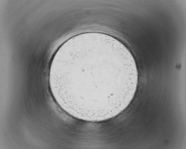 X0000114031514200910231848