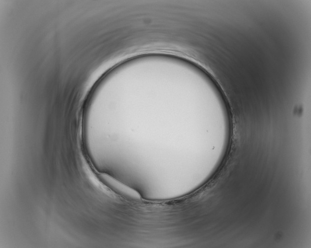 X0000114031515200910231848