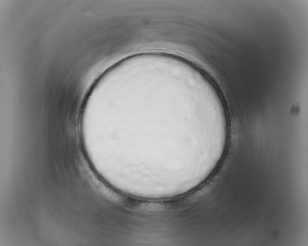 X0000114031517200910231848