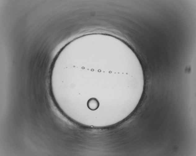 X0000114031518200910231848