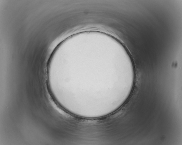 X0000114031519200910231848