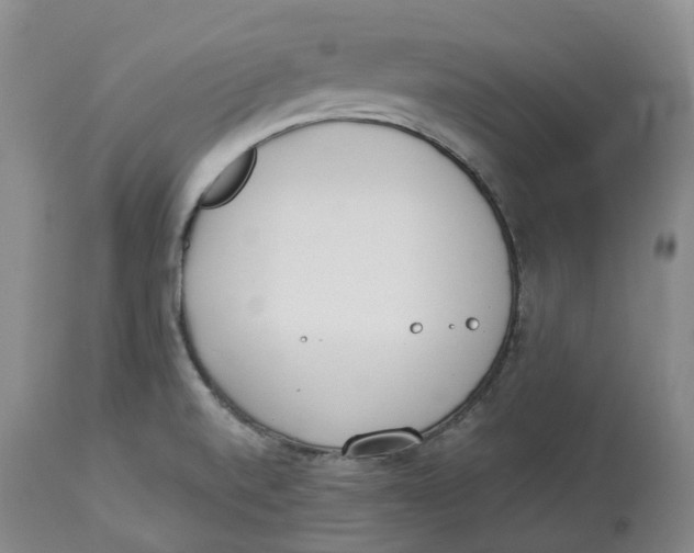 X0000114031520200910231848