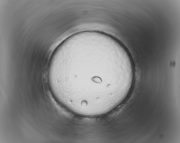 X0000114031521200910231848