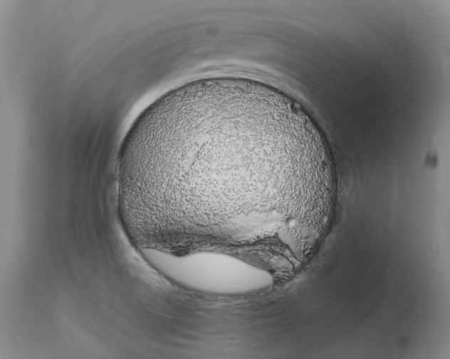 X0000114031522200910231848