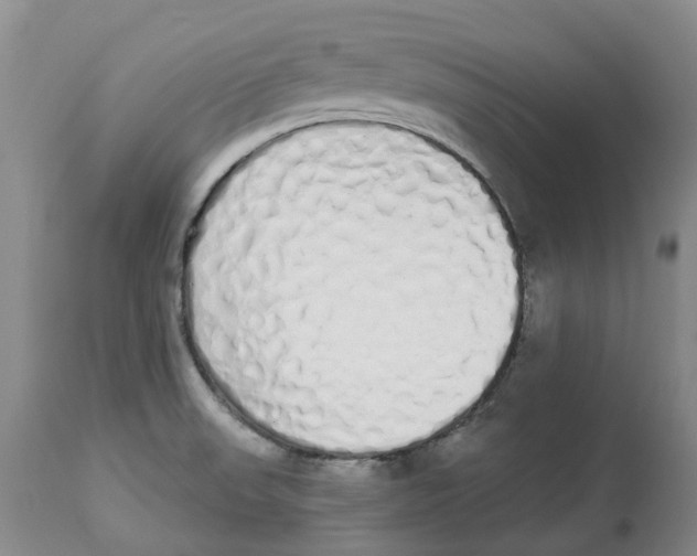 X0000114031523200910231848