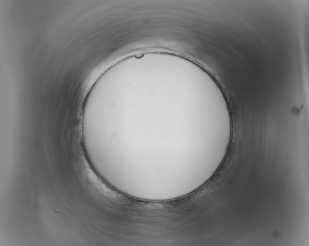 X0000114031524200910231848