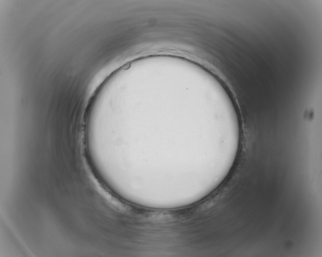 X0000114031525200910231848