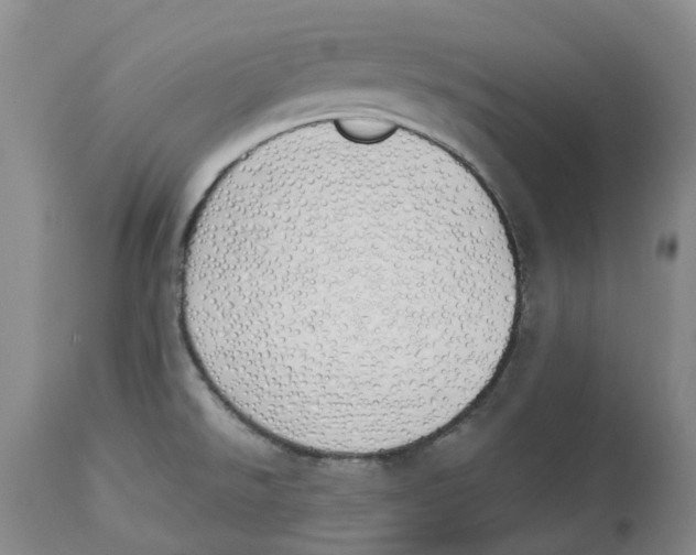 X0000114031526200910231848