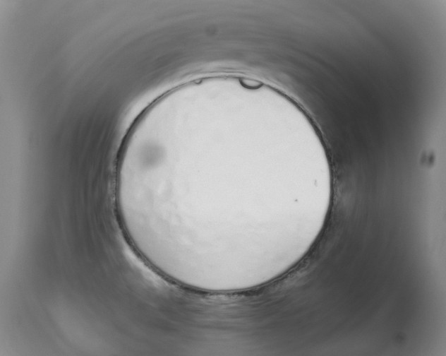 X0000114031527200910231848