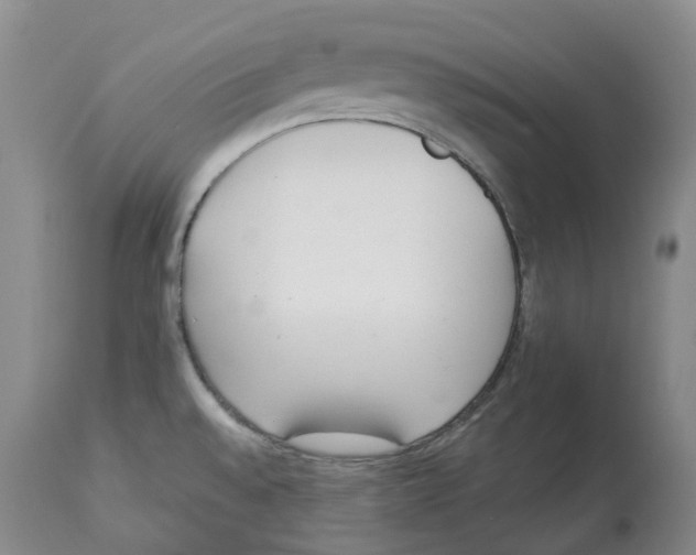 X0000114031528200910231848