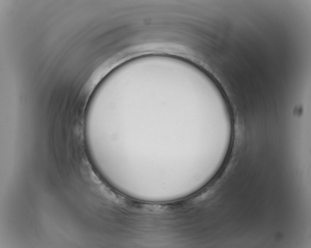 X0000114031529200910231848