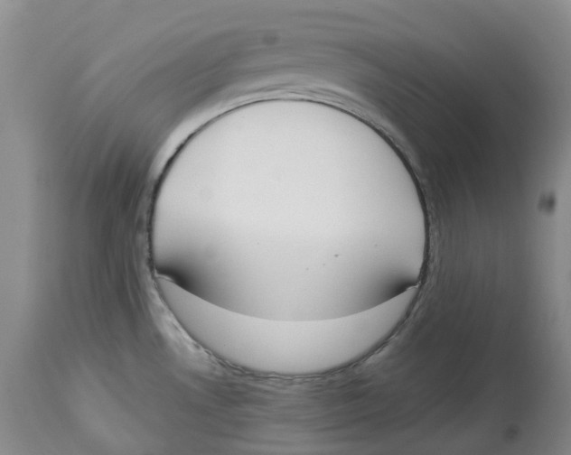 X0000114031530200910231848