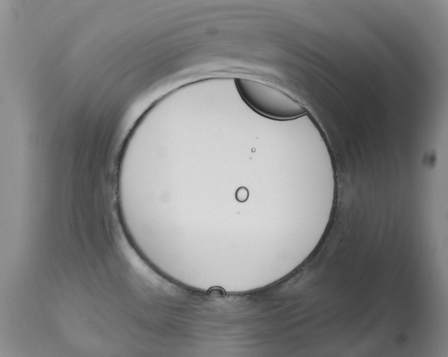 X0000114031531200910231848