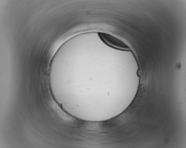 X0000114031532200910231848