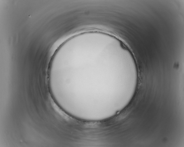 X0000114031535200910231848