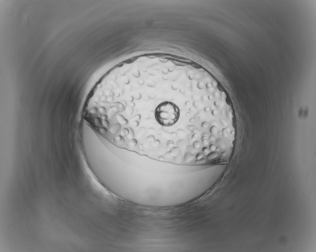 X0000114031536200910231848