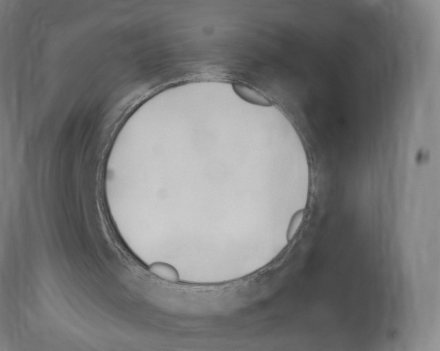 X0000114030001200911131259