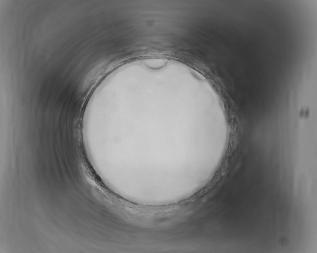 X0000114030002200911131259