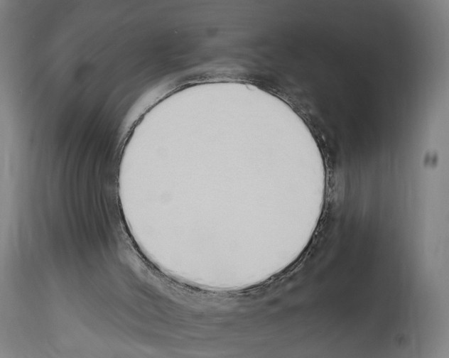 X0000114030004200911131259