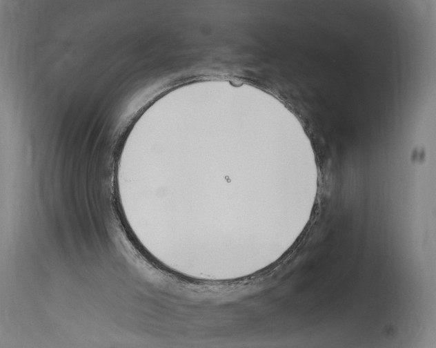 X0000114030005200911131259