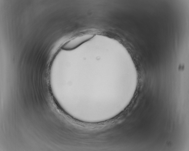 X0000114030006200911131259