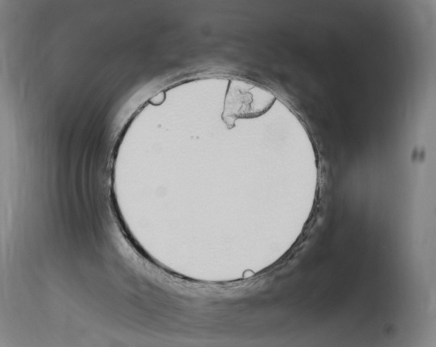 X0000114030007200911131259