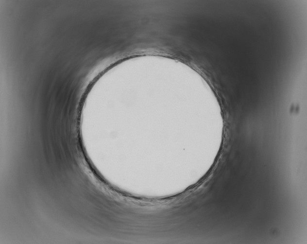 X0000114030008200911131259