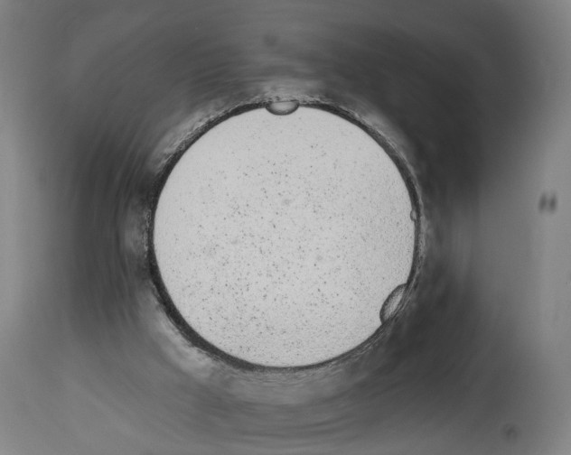 X0000114030009200911131259