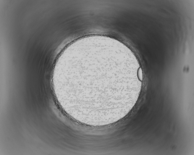 X0000114030011200911131259