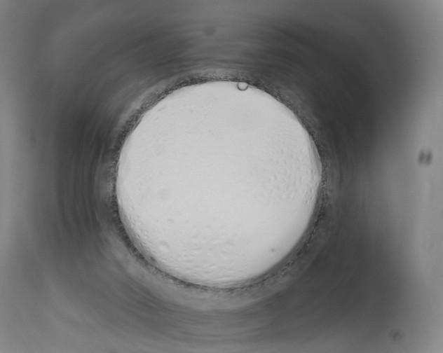 X0000114030016200911131259