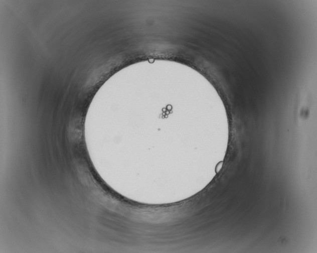 X0000114030017200911131259