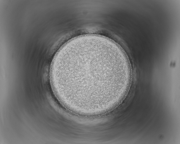 X0000114030018200911131259