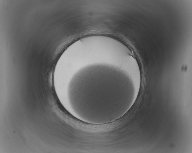 X0000114030019200911131259