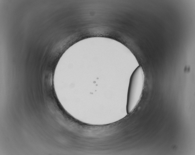 X0000114030021200911131259