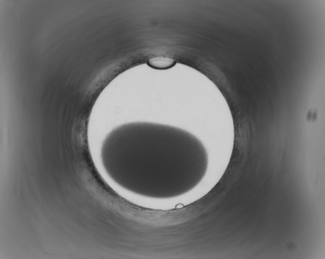 X0000114030023200911131259