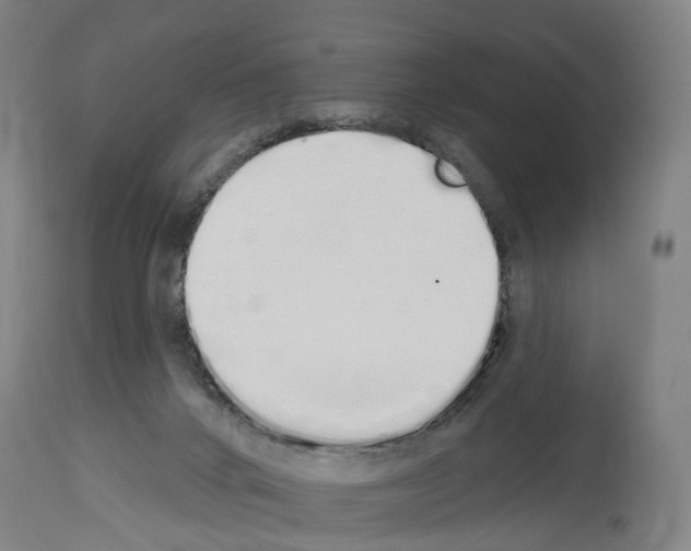 X0000114030024200911131259