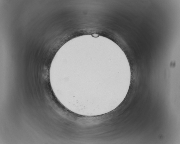 X0000114030025200911131259