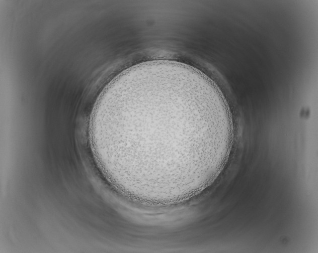 X0000114030026200911131259