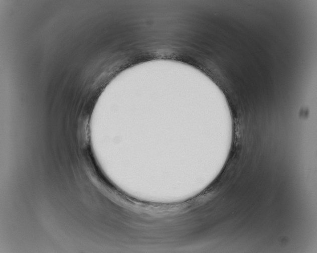 X0000114030028200911131259