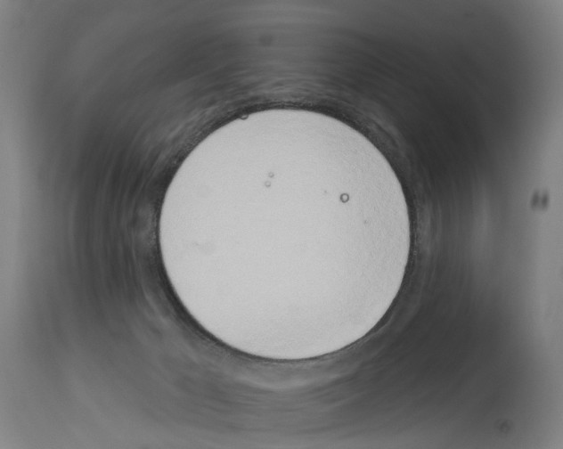 X0000114030029200911131259