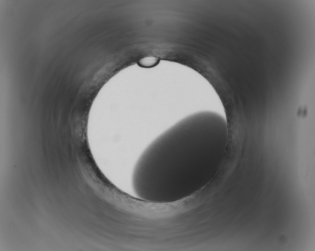 X0000114030031200911131259