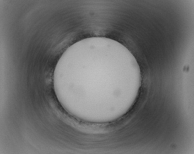 X0000114030032200911131259