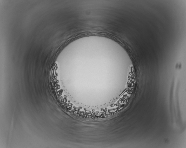 X0000114030033200911131259