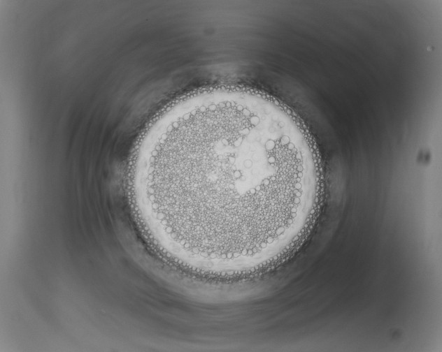 X0000114030034200911131259