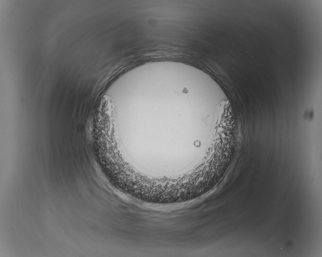 X0000114030045200911131258