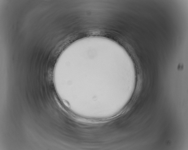 X0000114030048200911131258