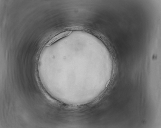 X0000114030049200911131258