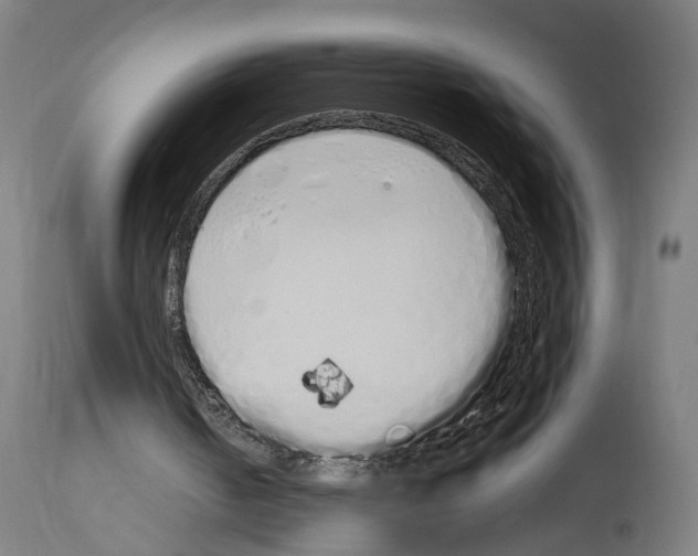 X0000114030050200911131258