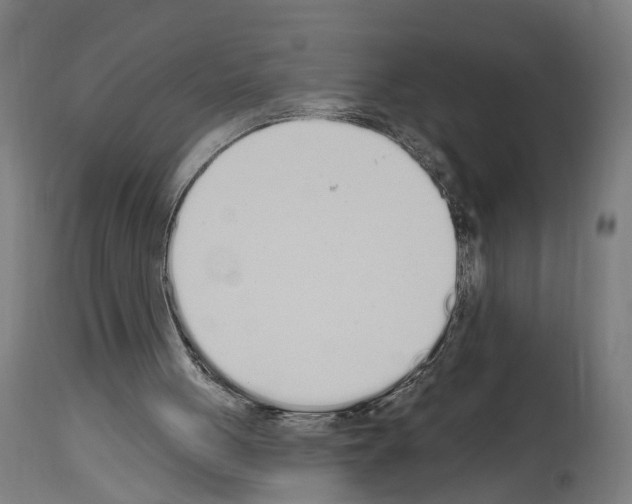 X0000114030051200911131258